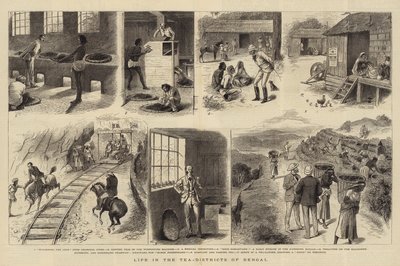 Leven in de Theedistricten van Bengalen door William Ralston